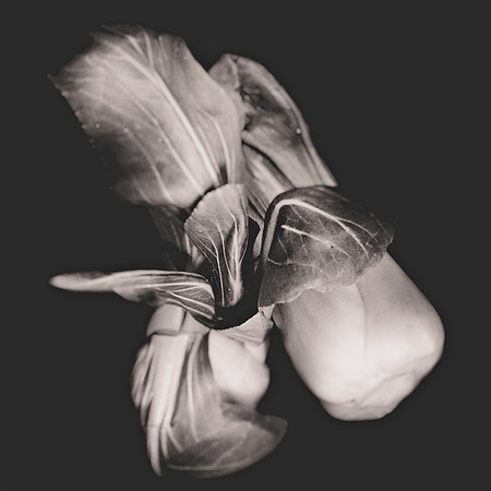 Still Life,Vegetables, Bellevue