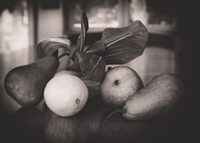 Still Life,Fruit, Bellevue