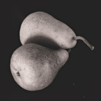 Still Life,Fruit, Bellevue