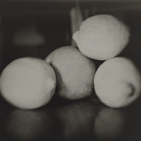 Still Life,Fruit, Bellevue