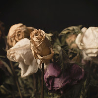 01122021 Still life #8 Sq