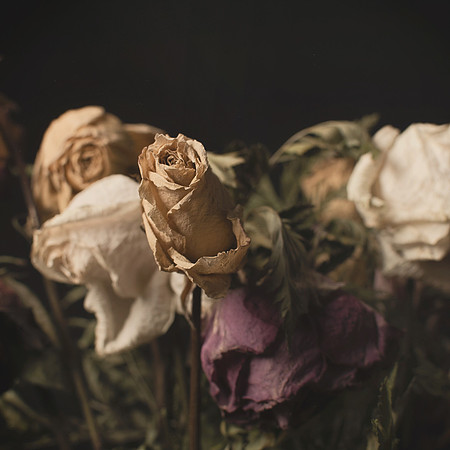 01122021 Still life #8 Sq