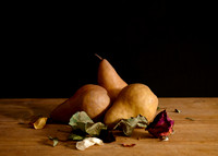 03192021 Still life #16 B_B