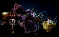02242021 Still life #12