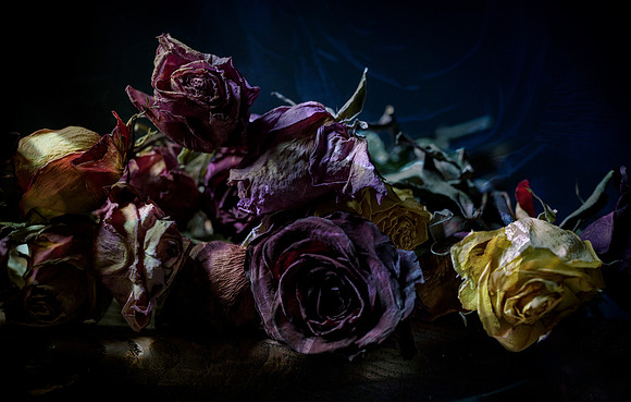 02242021 Still life #12