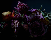 02242021 Still life #1_B 8x10
