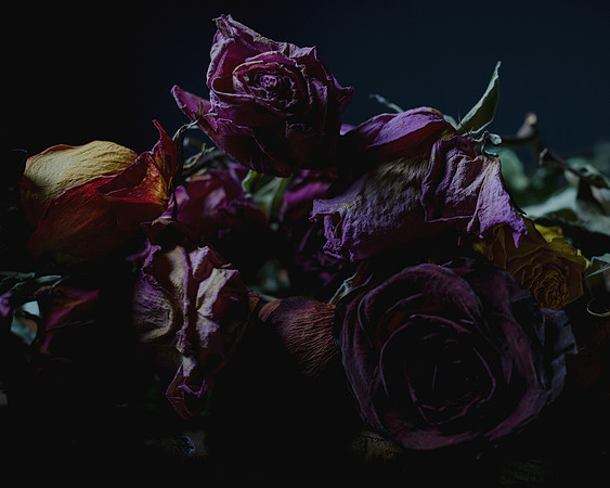 02242021 Still life #1_B 8x10