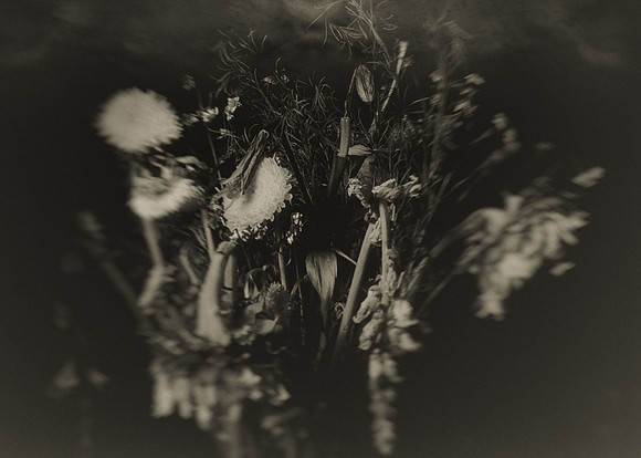 01172026 Flowers #1