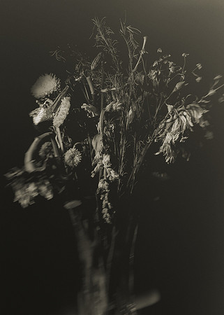 01172026 Flowers #2
