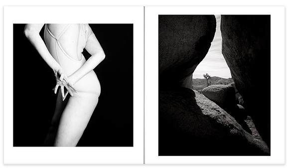 08302021 Book Layout #35 Joshua Tree_Christine C