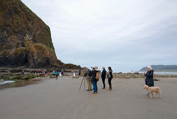Cannon Beach, OR.