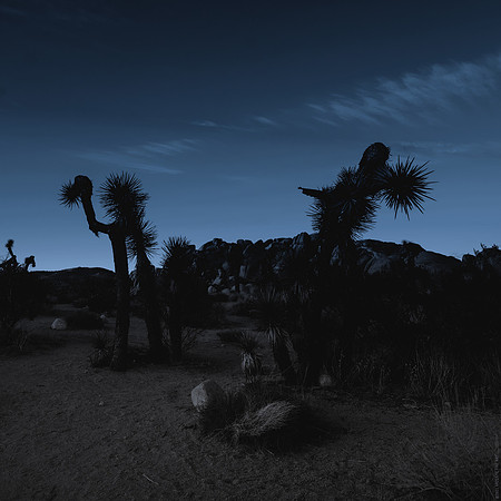 Joshua Tree National Park Palm Desert, CA.